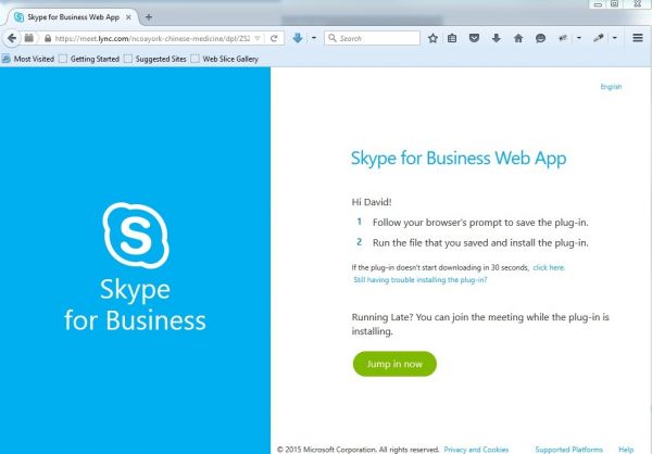 skype web app internet plugin